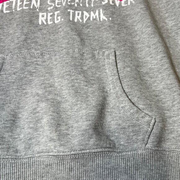 American Eagle Hoodie Womens Medium Grey Pink Logo Casual Sweatshirt Cozy Trendy - Picture 8 of 13